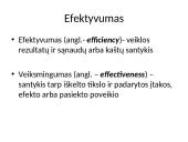 Viešųjų organizacijų tikslai ir efektyvumas. Vadovavimas viešosioms organizacijoms 10 puslapis