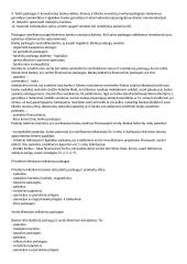 Bankų veiklos principai ir ypatumai 4 puslapis