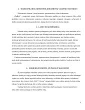 UAB „A Invest" vadybinė praktinė ataskaita 6 puslapis