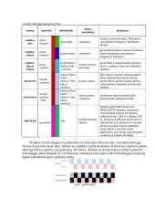 3D pasyvinio vaizdo principai 5 puslapis