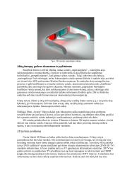 3D pasyvinio vaizdo principai 8 puslapis