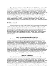 Patalpų akustika 8 puslapis