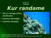 Deguonis ir halogenai 17 puslapis