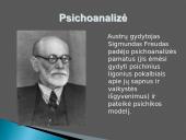 Kultūrinė revoliucija. Mokslo raida 13 puslapis