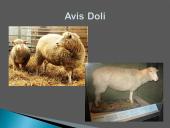 Kultūrinė revoliucija. Mokslo raida 19 puslapis