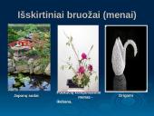 Rytų Azija 20 puslapis