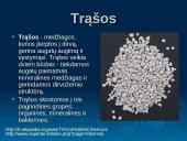 Trąšos, rūšys, jų savybės, panaudojimas 2 puslapis