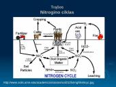 Trąšos, rūšys, jų savybės, panaudojimas 6 puslapis