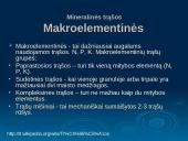 Trąšos, rūšys, jų savybės, panaudojimas 8 puslapis