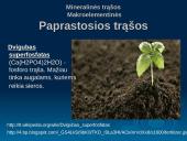 Trąšos, rūšys, jų savybės, panaudojimas 9 puslapis