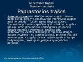 Trąšos, rūšys, jų savybės, panaudojimas 10 puslapis