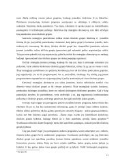 Žiniasklaidos vaidmuo formuojant valstybės institucijų įvaizdį visuomenėje 11 puslapis