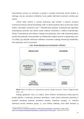 Žiniasklaidos vaidmuo formuojant valstybės institucijų įvaizdį visuomenėje 19 puslapis