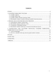 Žiniasklaidos vaidmuo formuojant valstybės institucijų įvaizdį visuomenėje 3 puslapis