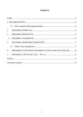 Nedarbas Lietuvoje ES šalių kontekste 2 puslapis