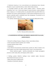 Pirmoji medicininė pagalba 11 puslapis