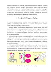 Pirmoji medicininė pagalba 7 puslapis