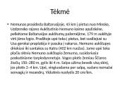 Faktai apie Nemuną 4 puslapis