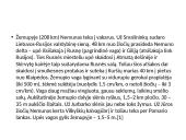 Faktai apie Nemuną 6 puslapis