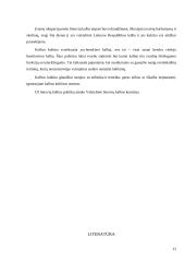 Lietuvių okupacijų įtaka lietuvių kalbos kultūrai 11 puslapis