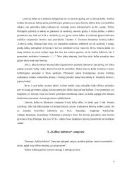 Lietuvių okupacijų įtaka lietuvių kalbos kultūrai 3 puslapis
