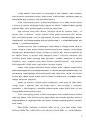 Lietuvių okupacijų įtaka lietuvių kalbos kultūrai 4 puslapis