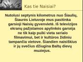 Naisiai - baltų kultūros centras 2 puslapis