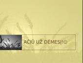 Naisiai - baltų kultūros centras 17 puslapis