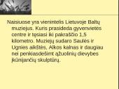 Naisiai - baltų kultūros centras 5 puslapis