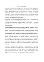 Europos kraštovaizdžio tipologija 2 puslapis