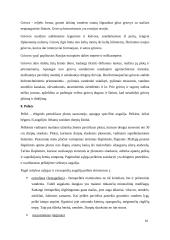 Europos kraštovaizdžio tipologija 10 puslapis