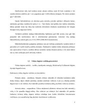 Paskirstytųjų generatorių rūšys 4 puslapis