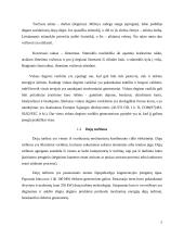 Paskirstytųjų generatorių rūšys 5 puslapis