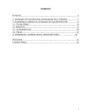 Zodiako žvaigždynai referatas 2 puslapis