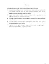 Zodiako žvaigždynai referatas 15 puslapis