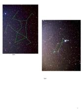 Zodiako žvaigždynai referatas 7 puslapis