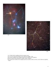 Zodiako žvaigždynai referatas 8 puslapis