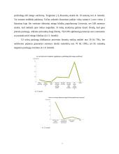 UAB „Sapnų klinika“ verslo planas 12 puslapis