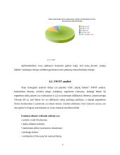 UAB „Sapnų klinika“ verslo planas 13 puslapis