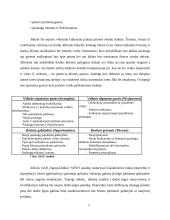 UAB „Sapnų klinika“ verslo planas 14 puslapis