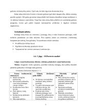 UAB „Sapnų klinika“ verslo planas 20 puslapis