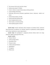 UAB „Sapnų klinika“ verslo planas 5 puslapis