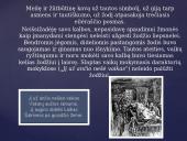 Henrikas Radauskas „Žodis“ analizė 7 puslapis