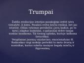 Henrikas Radauskas „Žodis“ analizė 9 puslapis