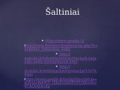 Henrikas Radauskas „Žodis“ analizė 10 puslapis