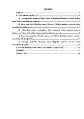 Teritorijų planavimas. Konsolidacija 2 puslapis