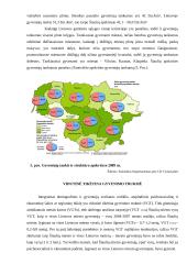 Demografinė situacija Šiaulių mieste 3 puslapis