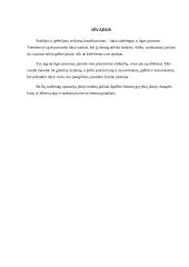 Paieškos ir gelbėjimo veiksmų koordinavimas jūroje 11 puslapis