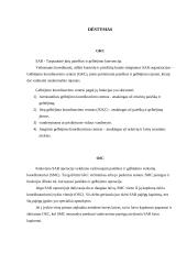 Paieškos ir gelbėjimo veiksmų koordinavimas jūroje 4 puslapis