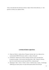 Lietuvos aukštojo mokslo reforma rašto darbas 19 puslapis